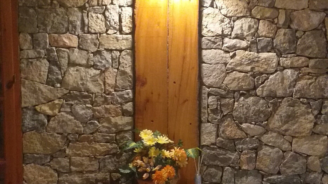 Photo of Others in Xerta