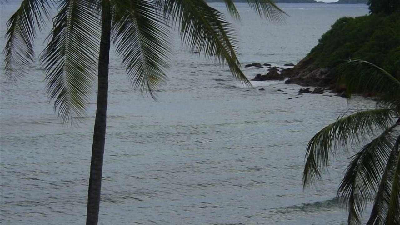 Photo of Others in Bolongo Bay