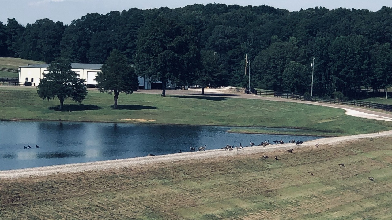 Photo of Outdoor in Calhoun County