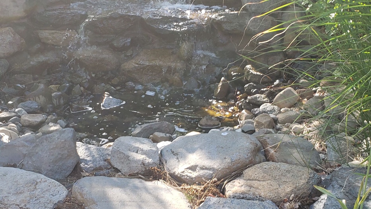 Photo of Outdoor in Incline Village