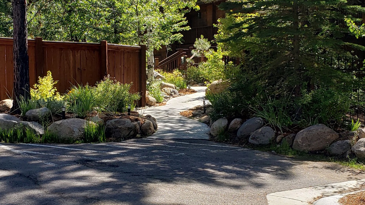 Photo of Outdoor in Incline Village
