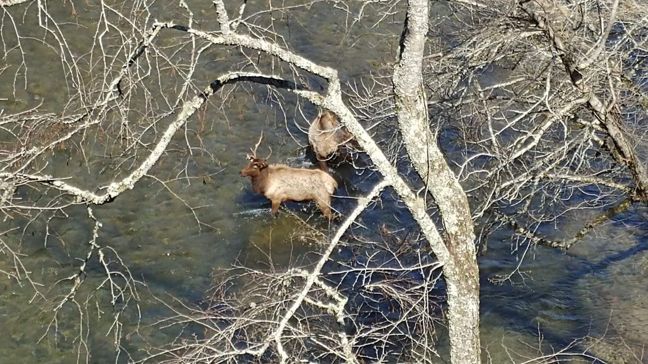 Photo of Outdoor in Cherokee