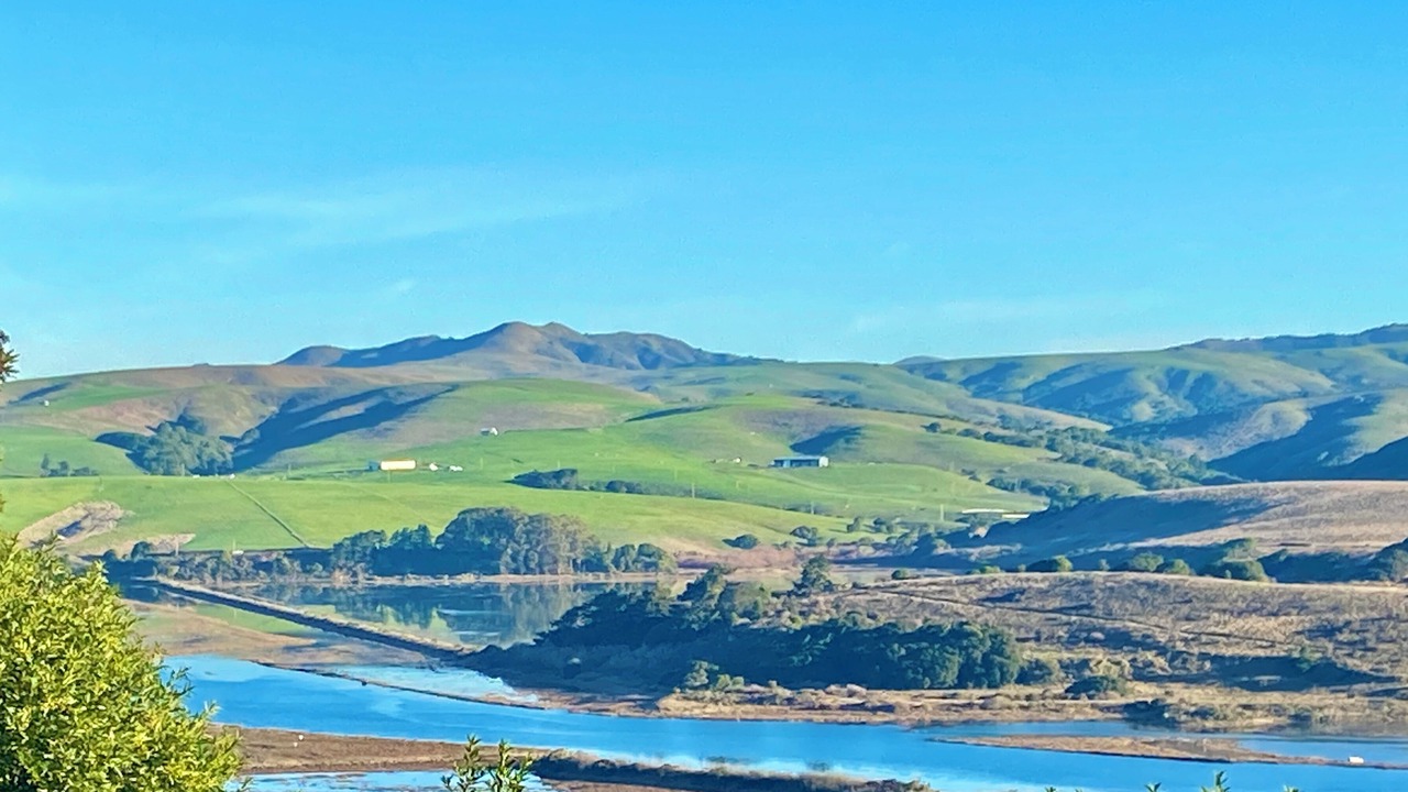 Photo of Others in Point Reyes Station