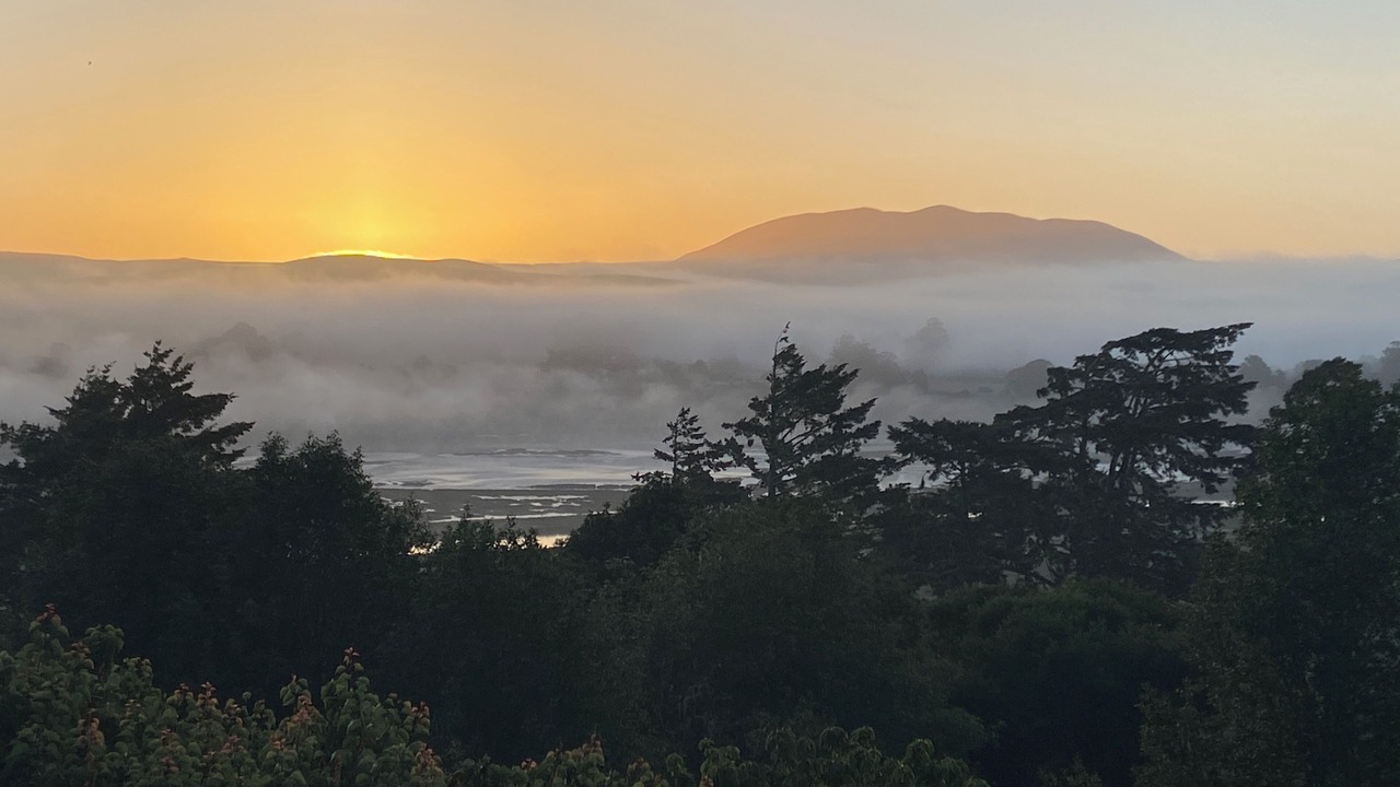 Photo of Others in Point Reyes Station