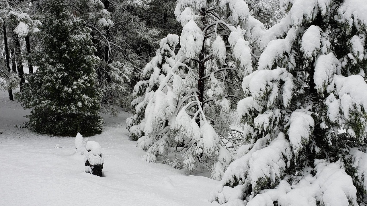 Photo of Others in Groveland