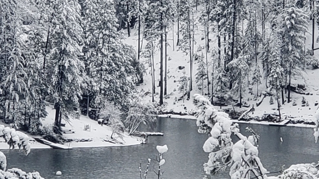 Photo of Others in Groveland
