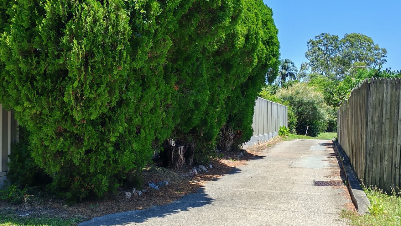 Photo of Outdoor in Sunnybank Hills