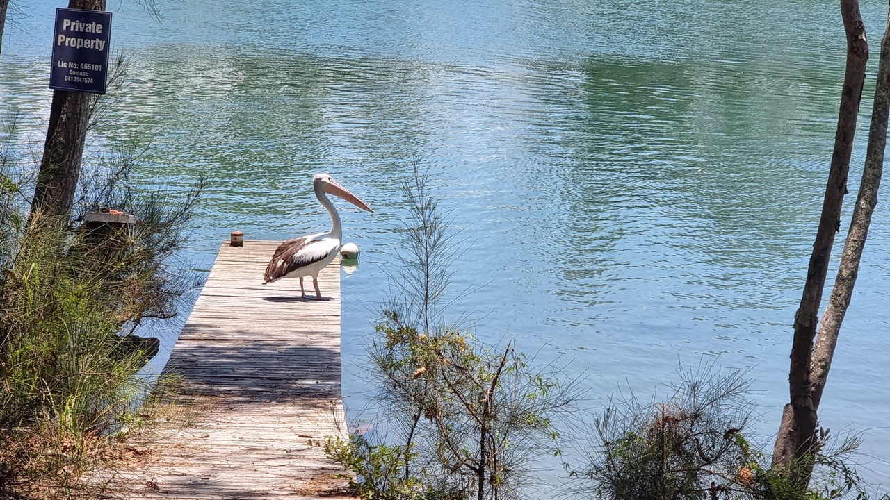 Photo of Others in Urunga