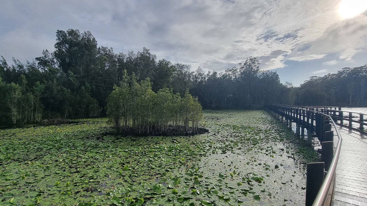 Photo of Others in Urunga