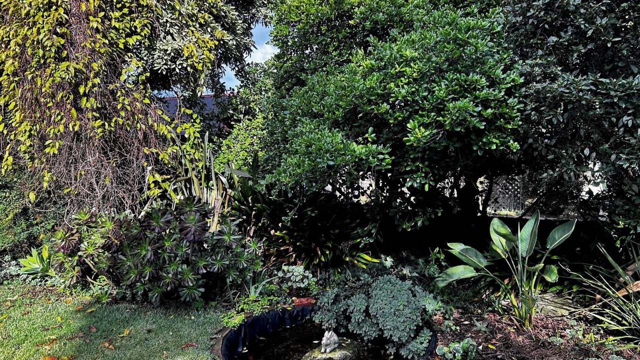 Photo of Outdoor in Mount Gambier