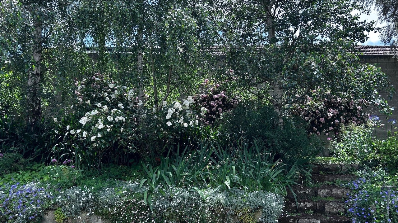 Photo of Outdoor in Mount Gambier