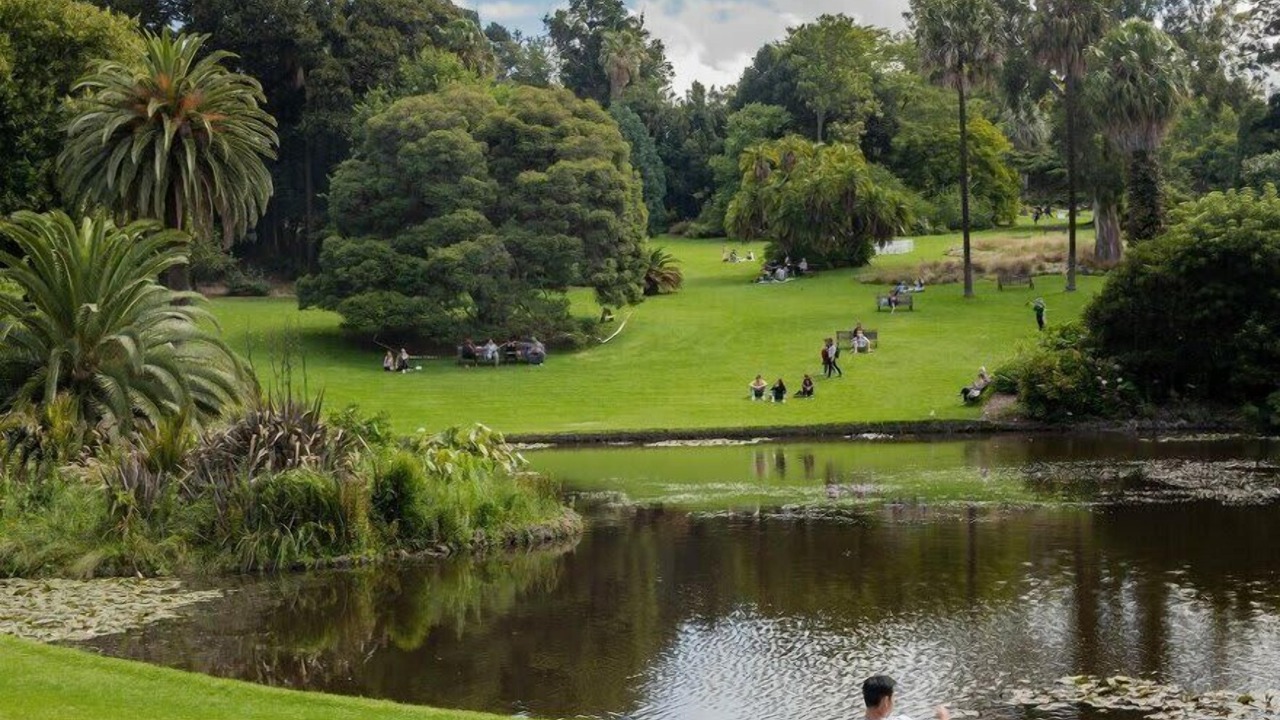 Photo of Others in Southbank
