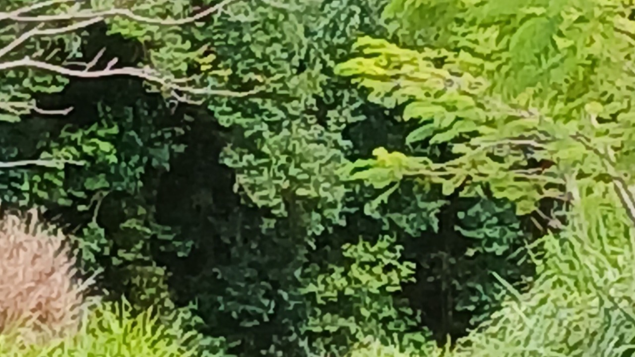 Photo of Others in Montville