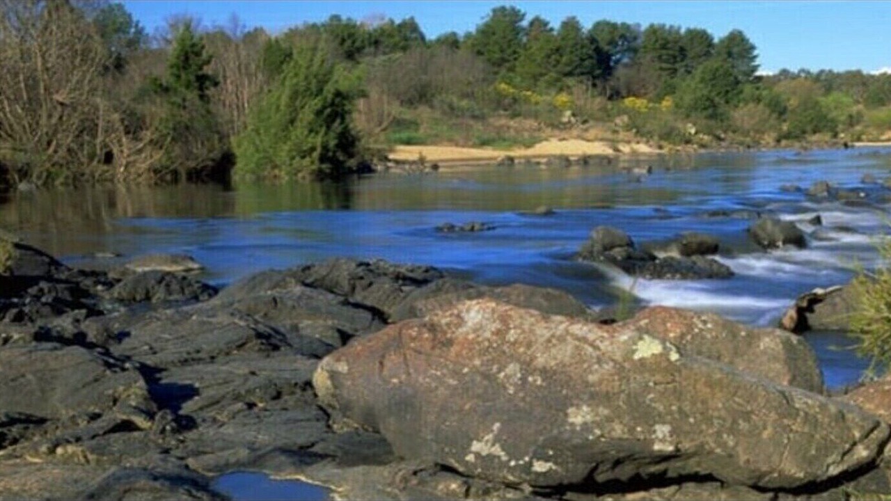Photo of Others in Kambah