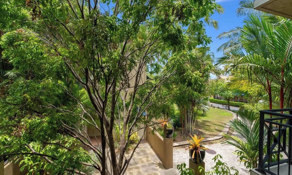 Photo of Outdoor in Cairns North