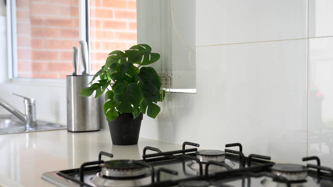 Photo of Kitchen in North Ryde
