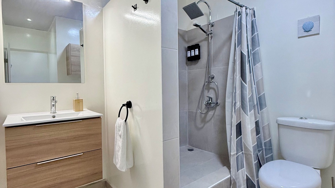 Photo of Bathroom in Pirae