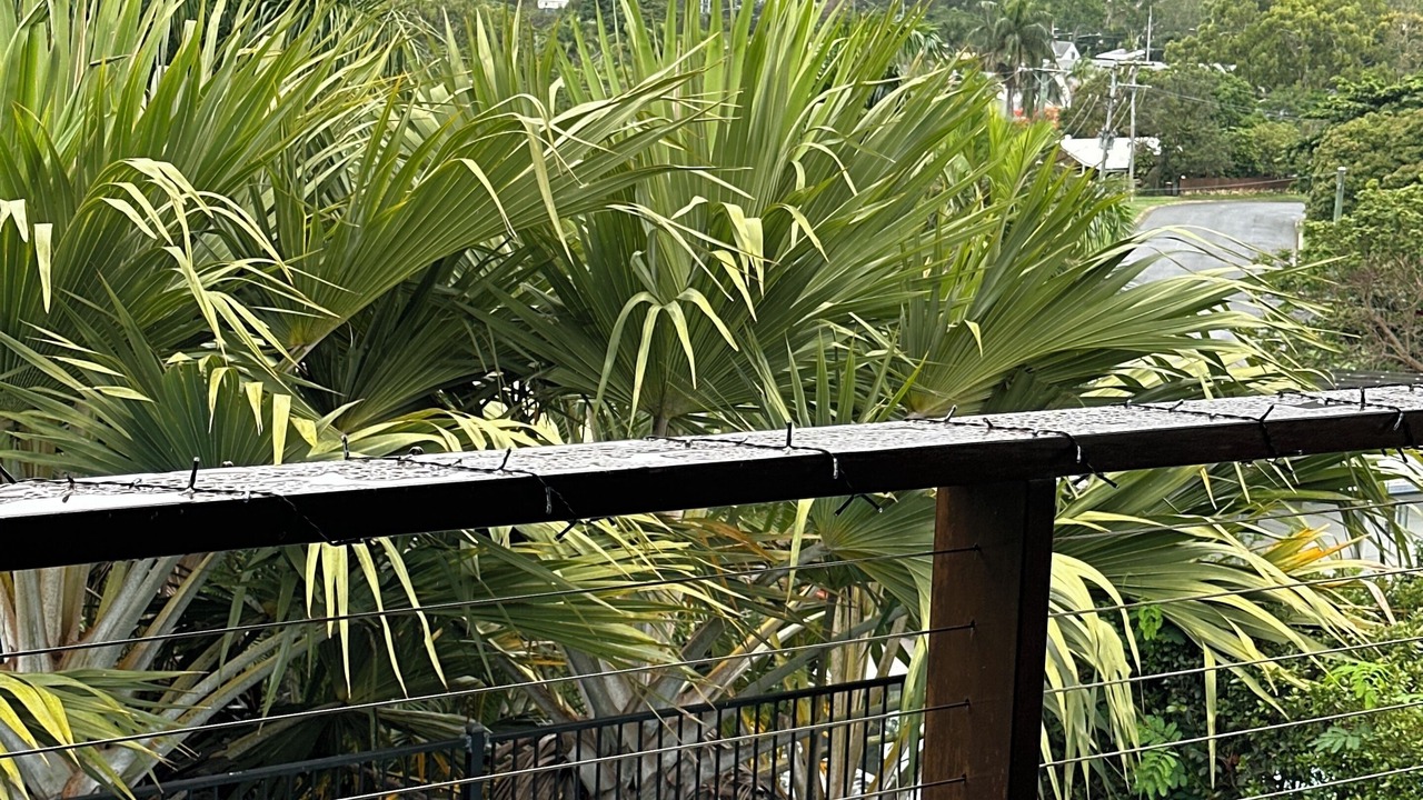Photo of Outdoor in Cannonvale
