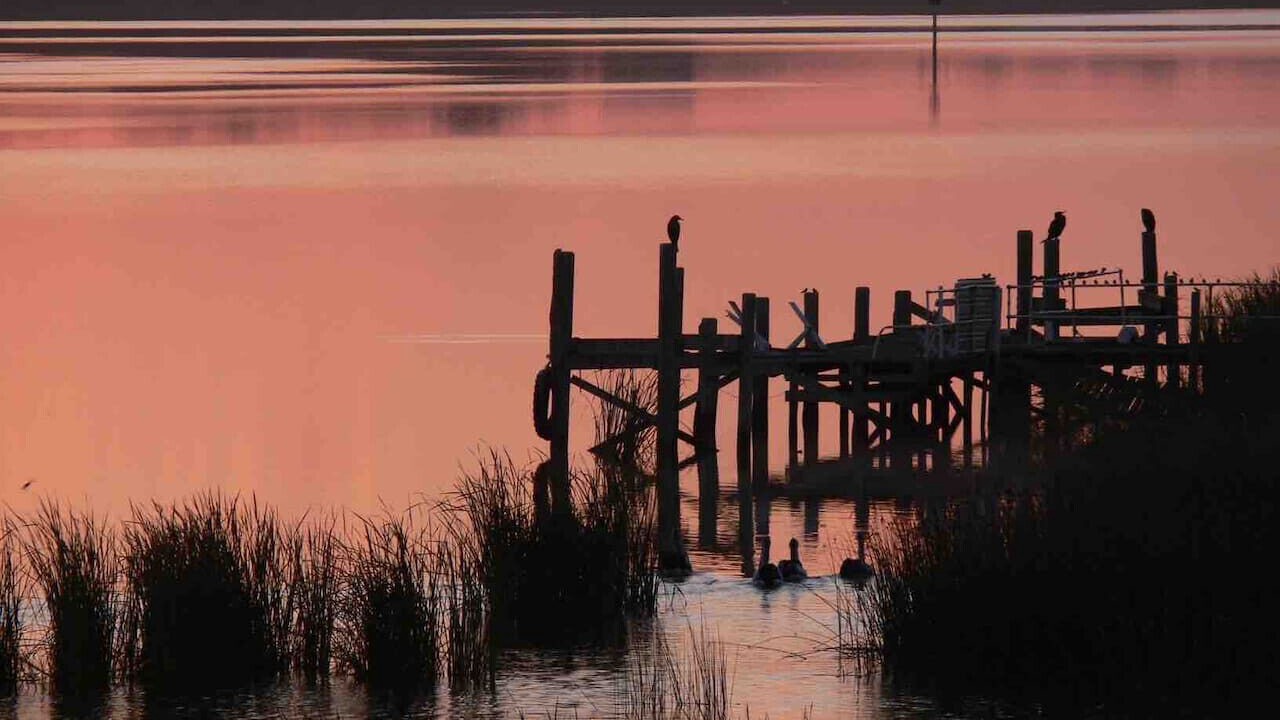 Photo of Others in Goolwa South