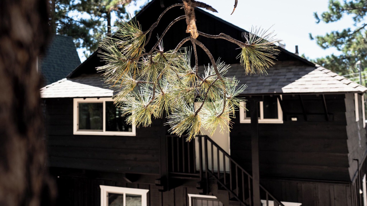 Photo of Outdoor in Green Valley Lake