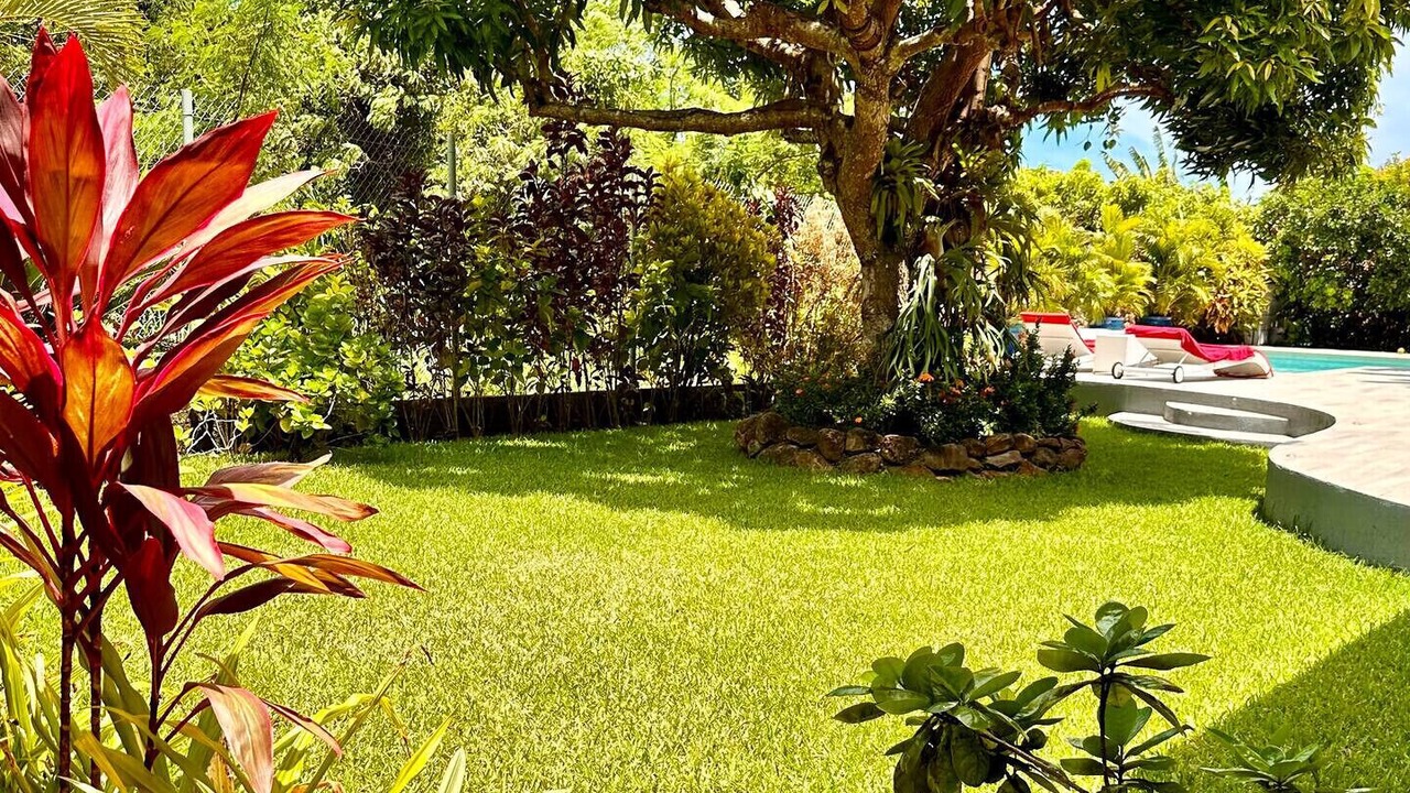 Photo of Outdoor in Point Matira