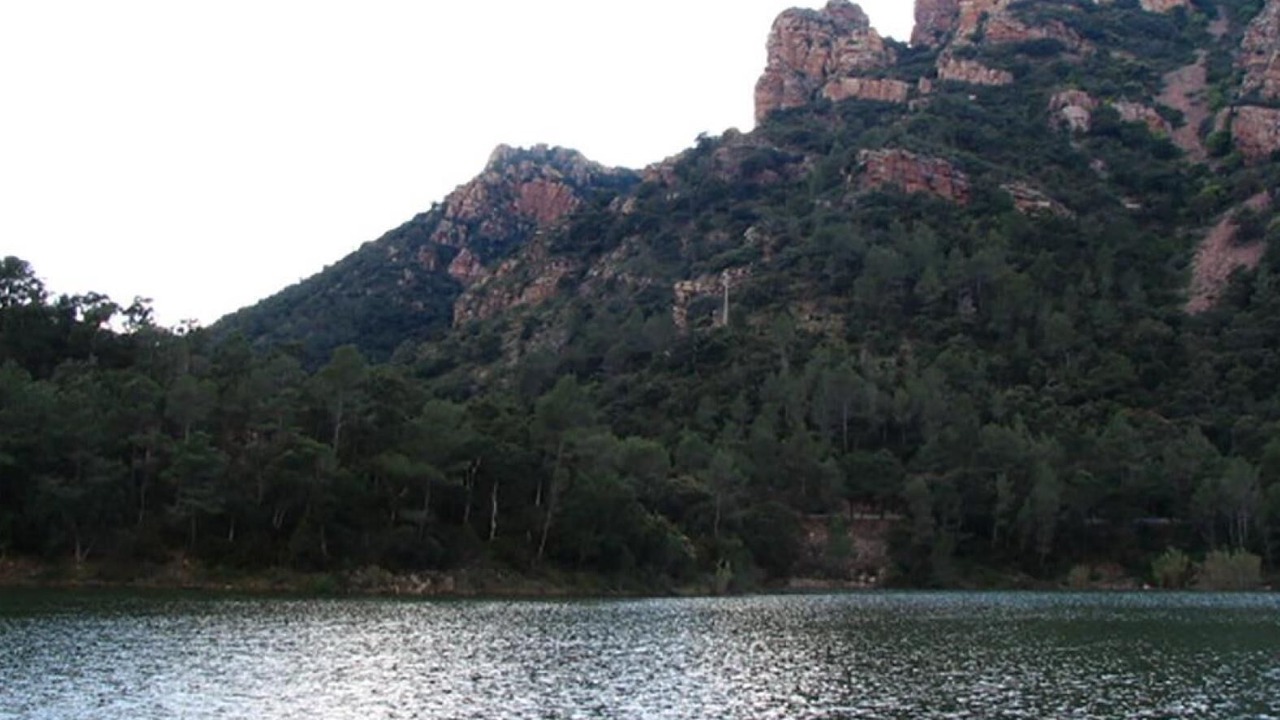 Photo of Others in Alcudia de Veo