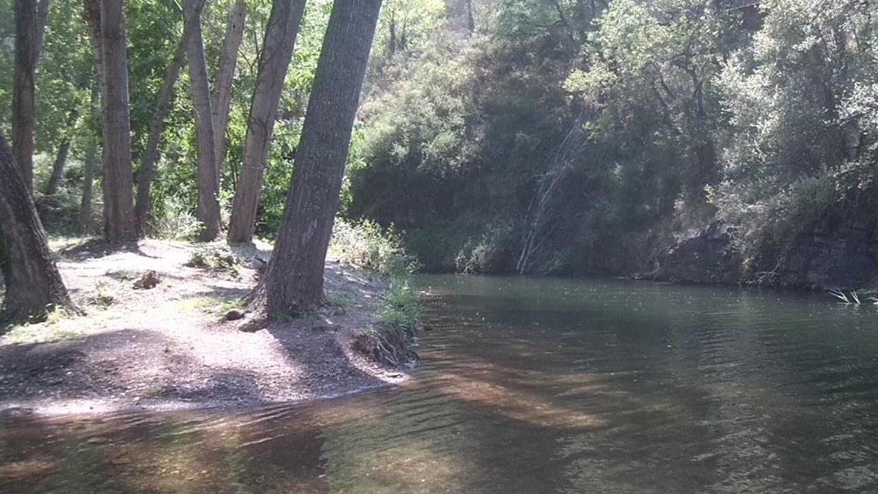 Photo of Others in Alcudia de Veo