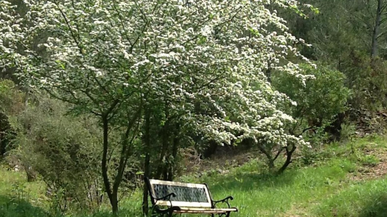Photo of Outdoor in Alcudia de Veo