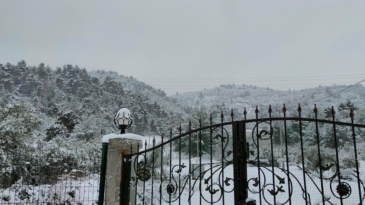 Photo of Outdoor in Gemlik