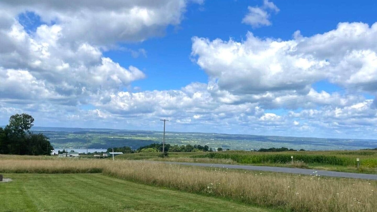 Photo of Outdoor in Hector