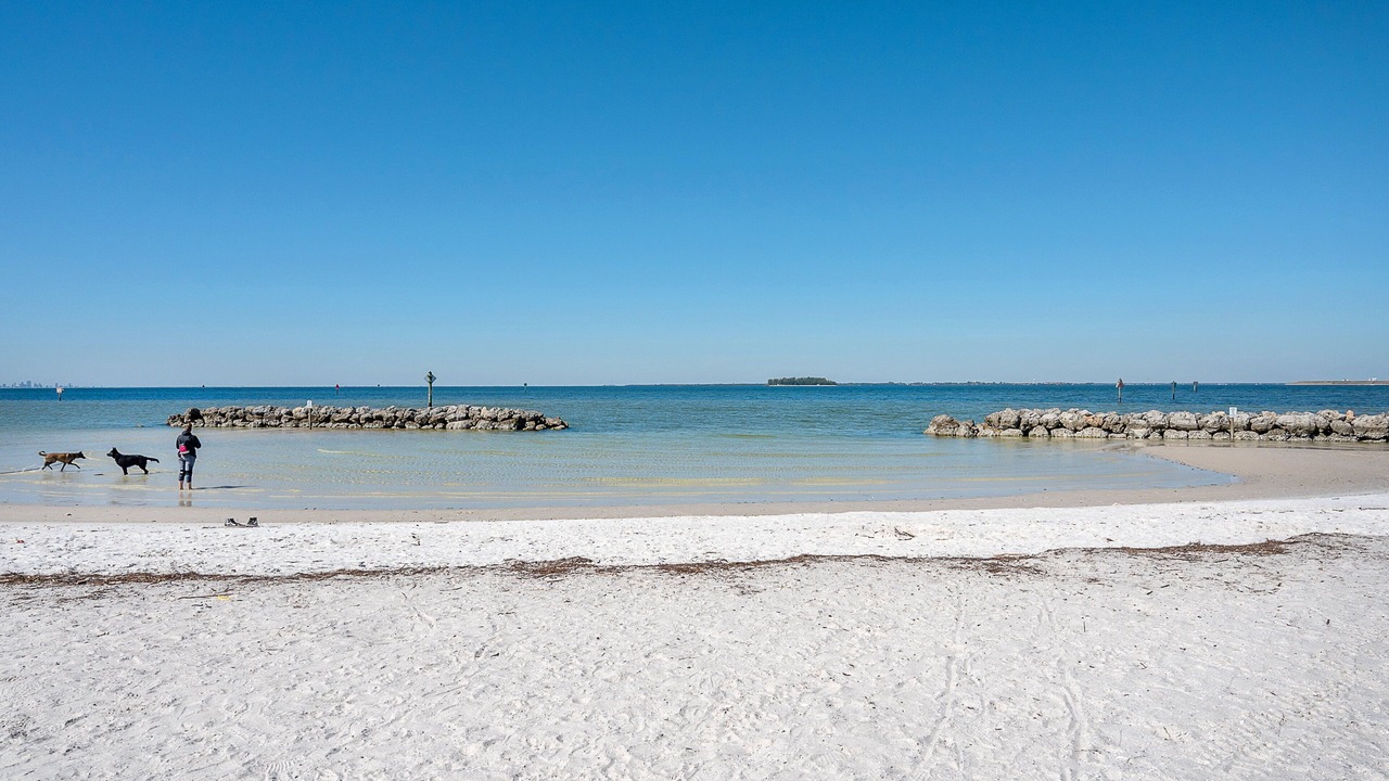 Photo of Others in Apollo Beach