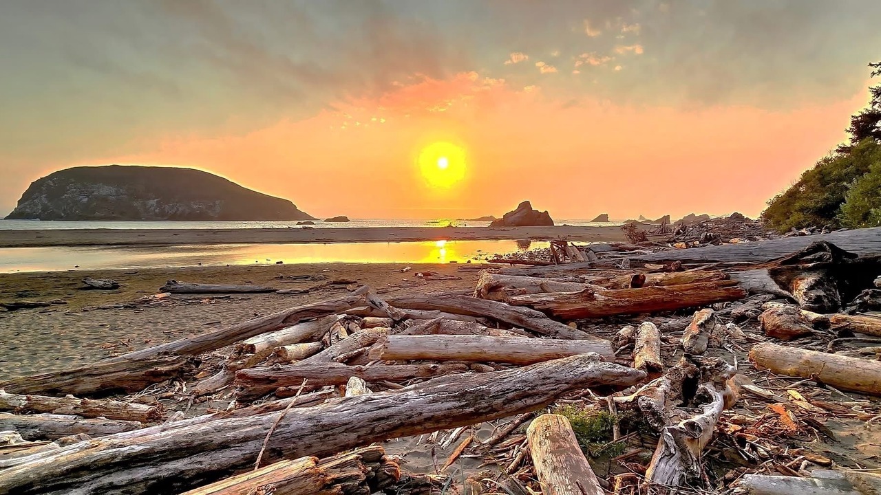 Photo of Others in Crescent City North