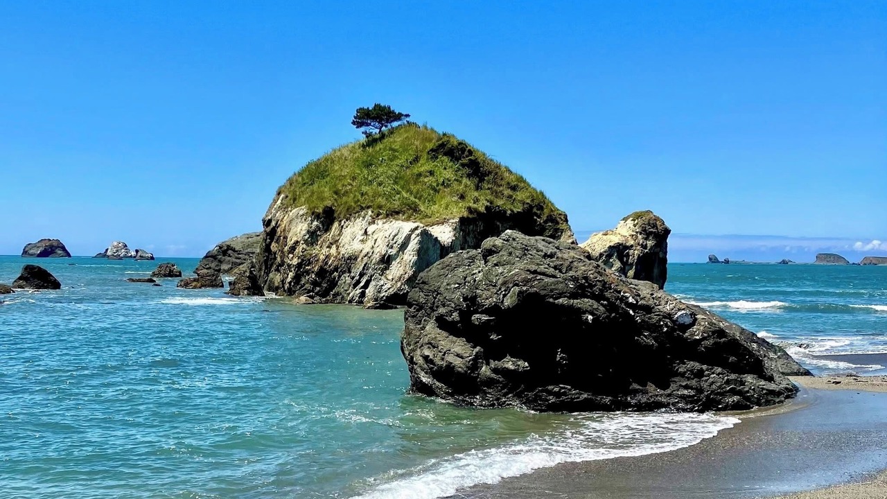 Photo of Others in Crescent City North