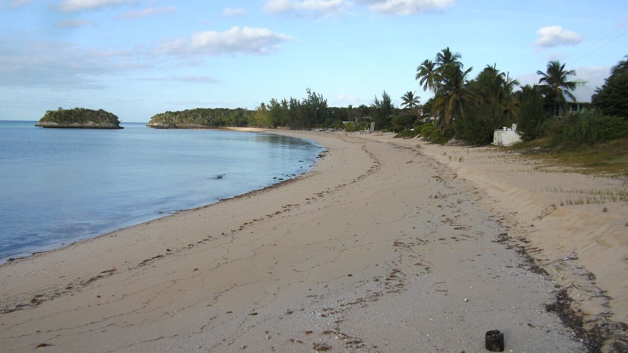 Photo of Others in South Palmetto Point