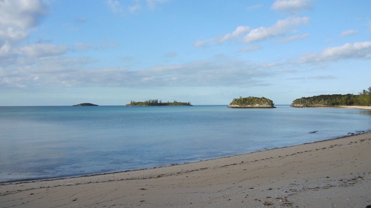 Photo of Others in South Palmetto Point