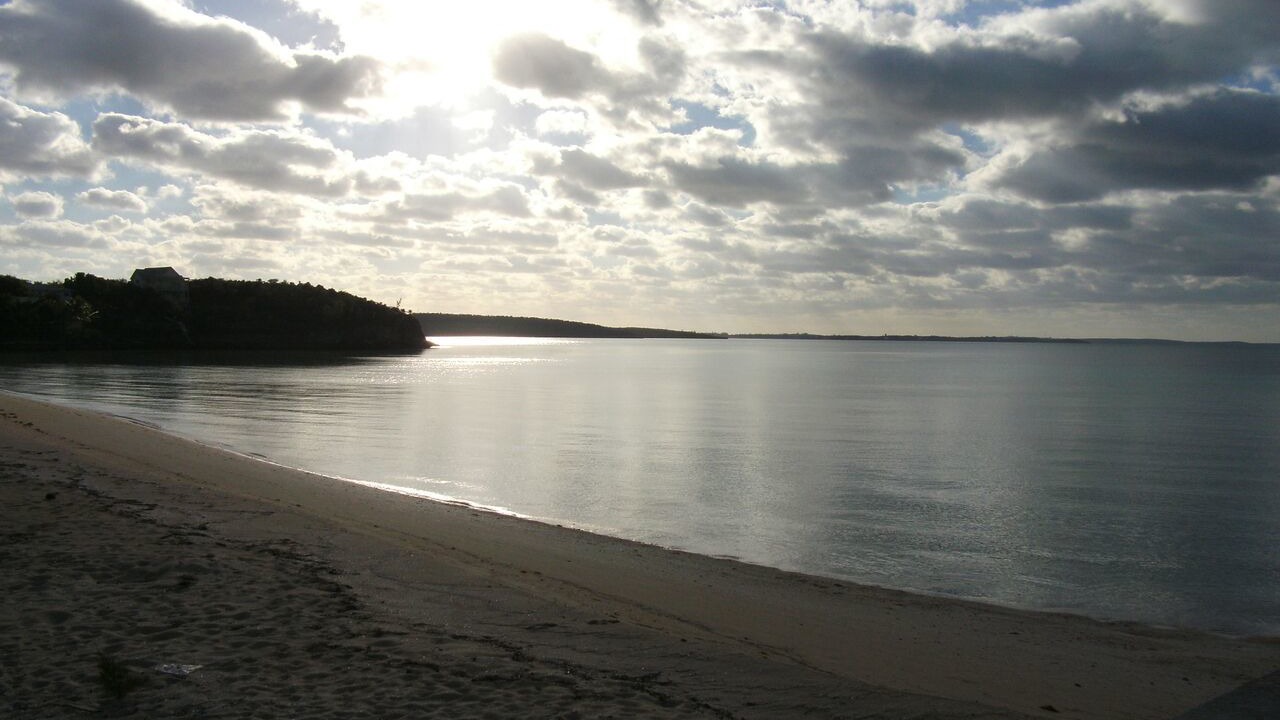 Photo of Others in South Palmetto Point