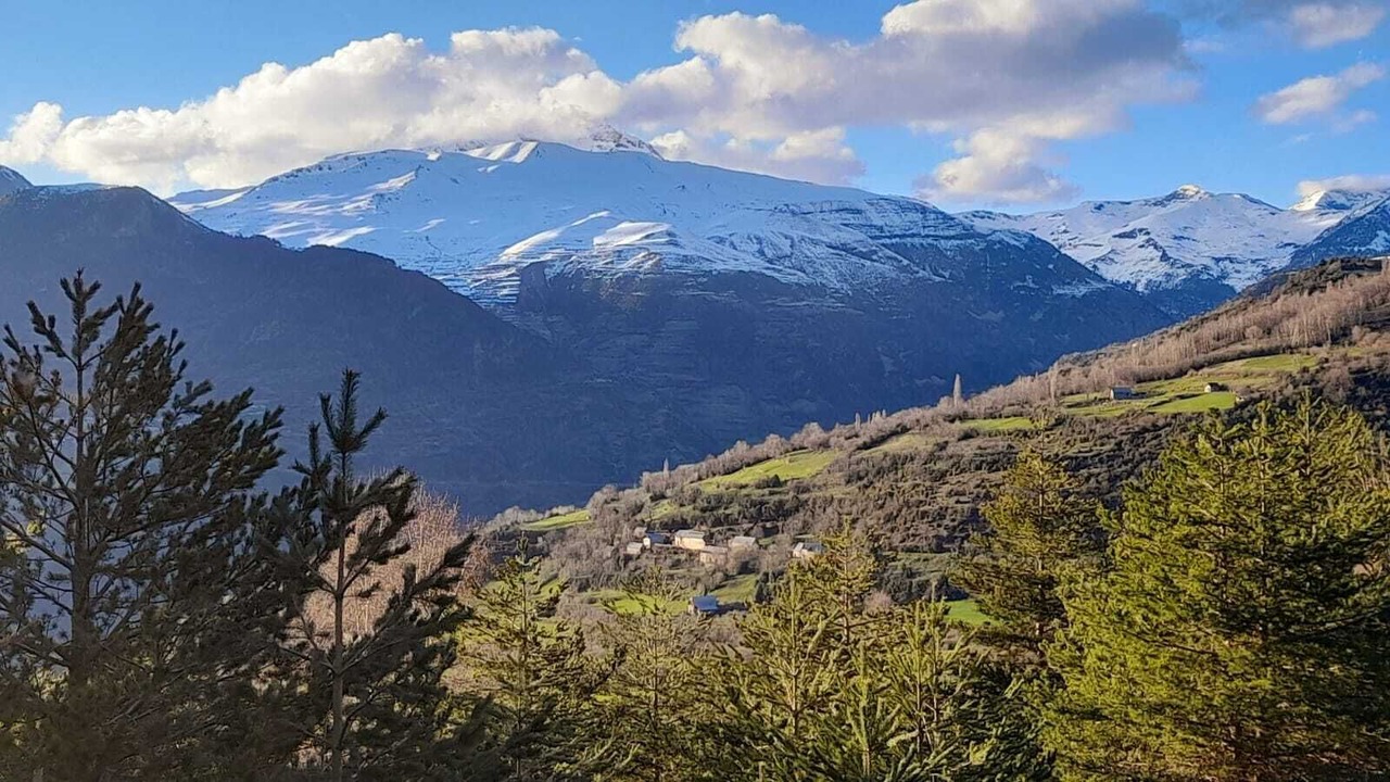 Photo of Others in Sils