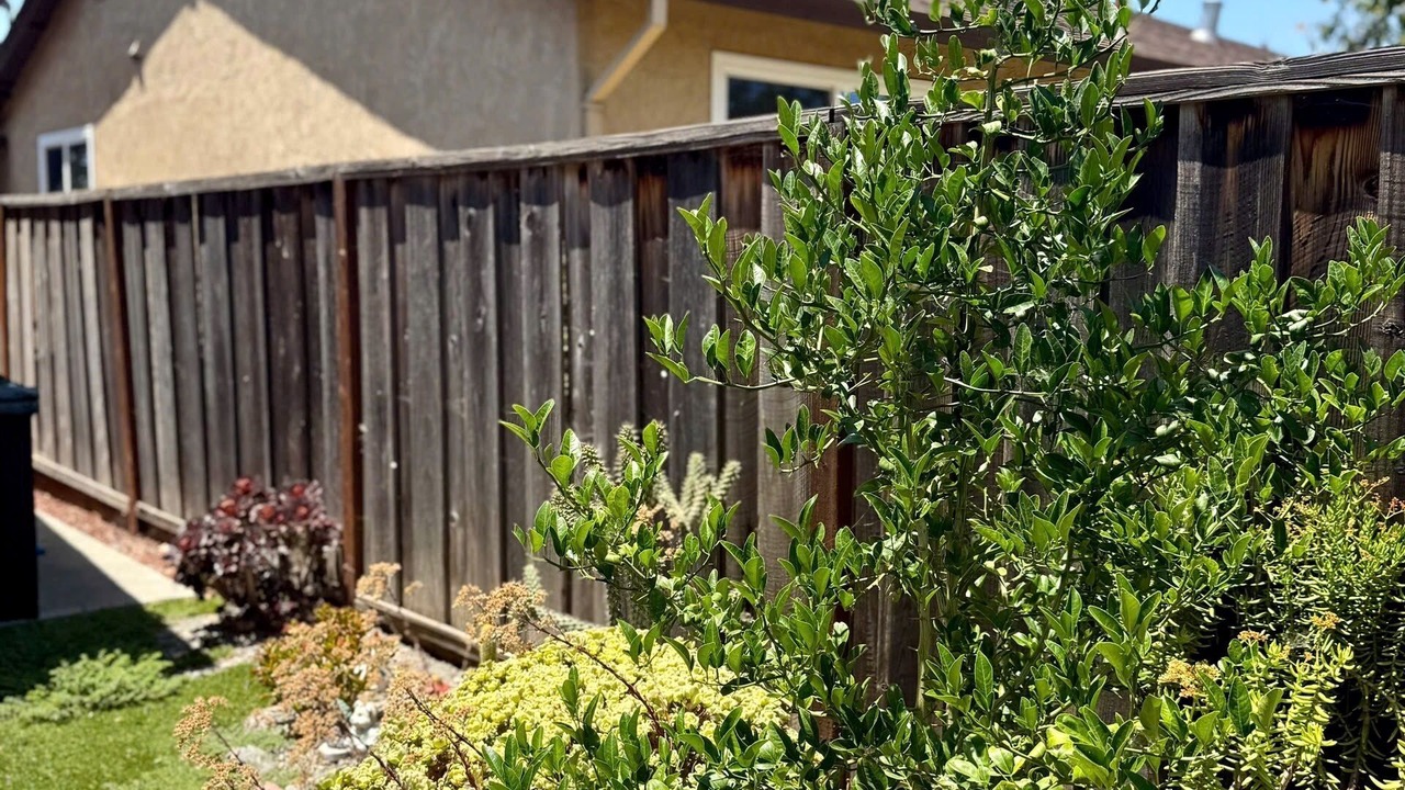 Photo of Outdoor in Alum Rock