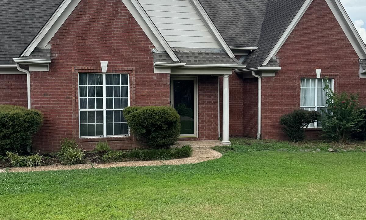 Photo of Outdoor in Olive Branch