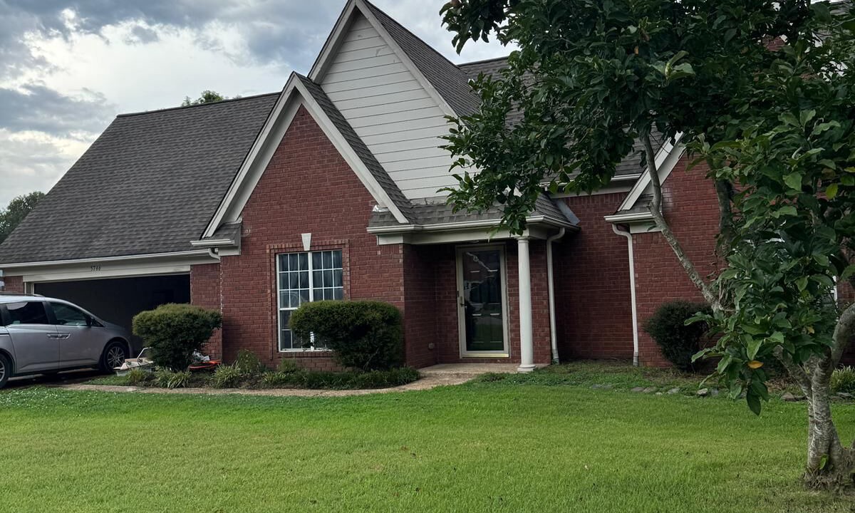 Photo of Outdoor in Olive Branch