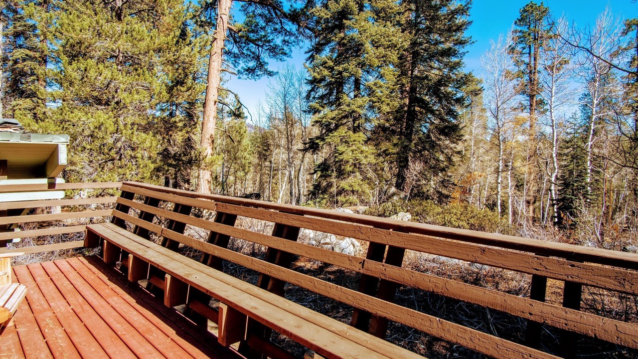 Photo of Outdoor in Ponderosa
