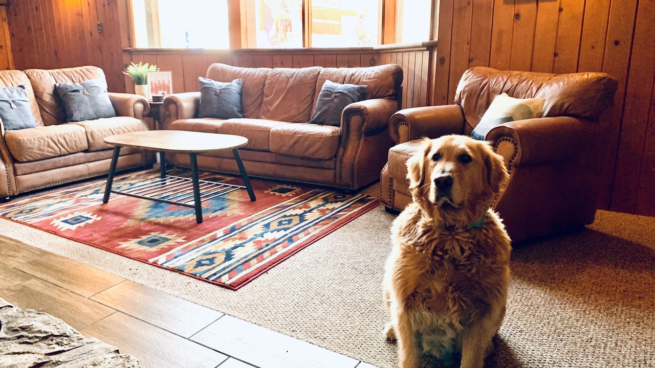 Photo of Livingroom in Ponderosa