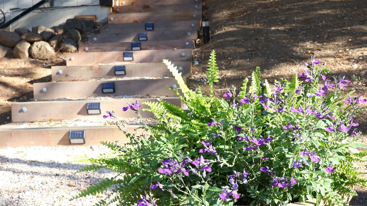 Photo of Outdoor in Novato