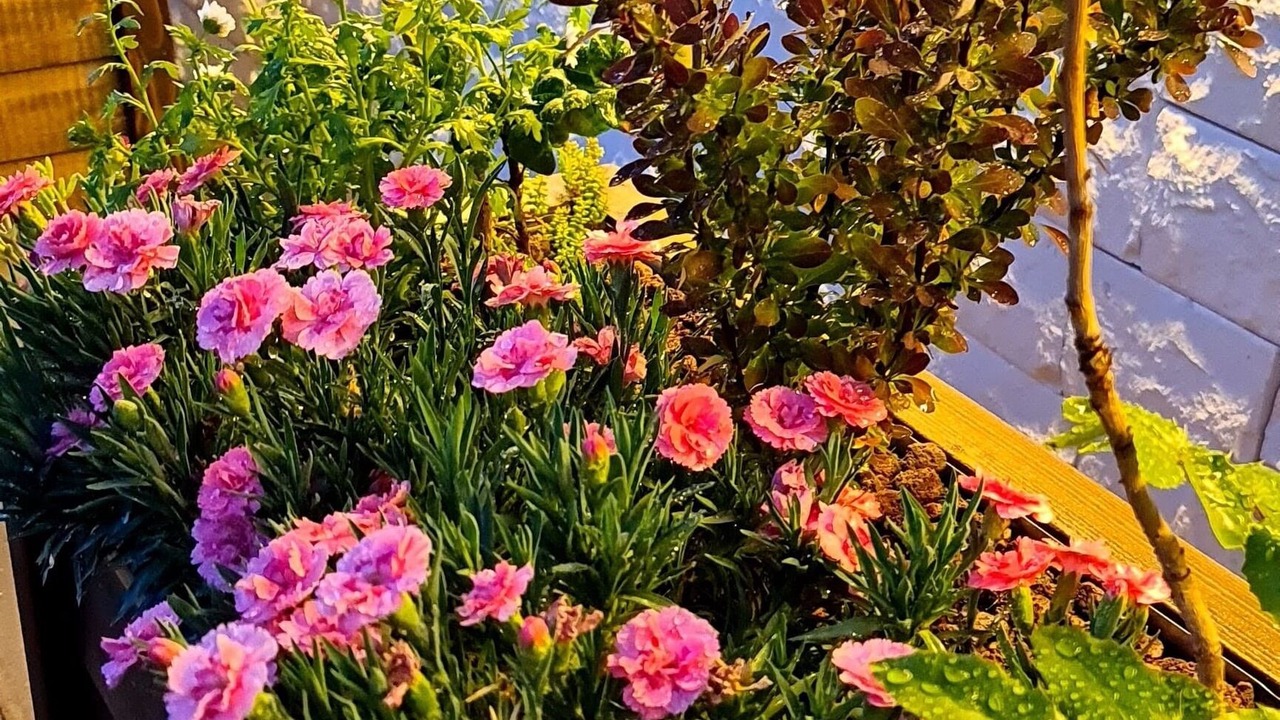 Photo of Outdoor in Nar