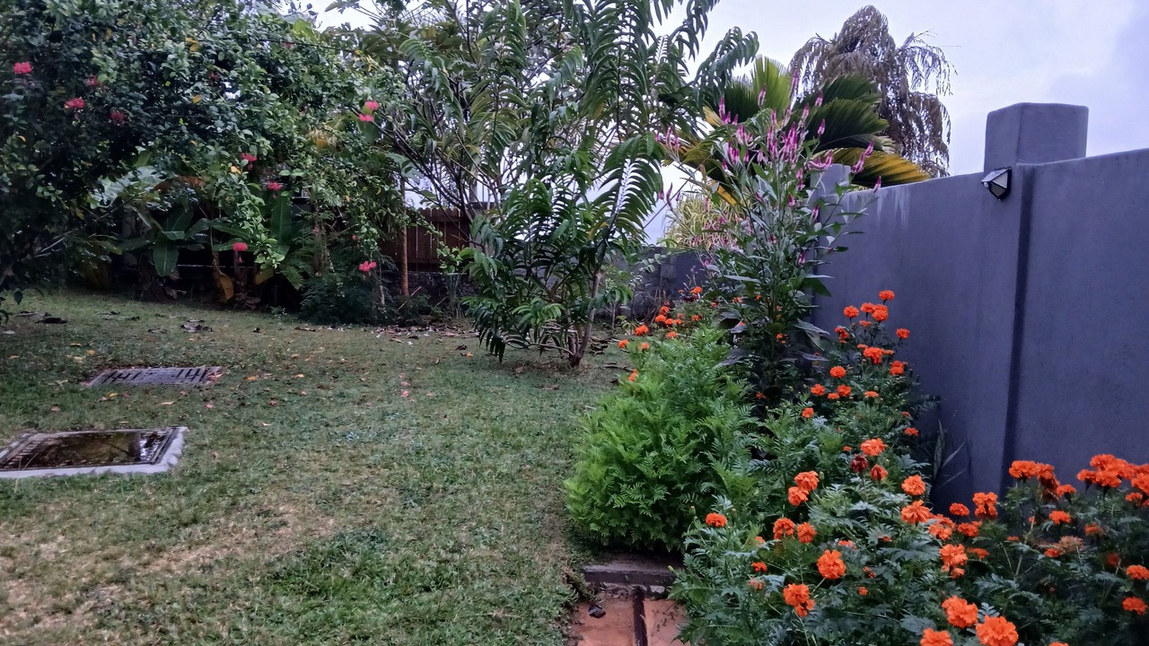 Photo of Outdoor in Anse Royale