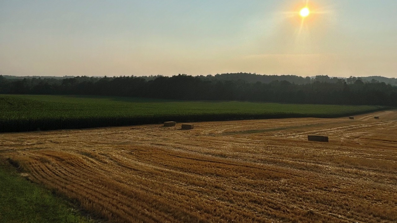 Photo of Others in Guelph/Eramosa
