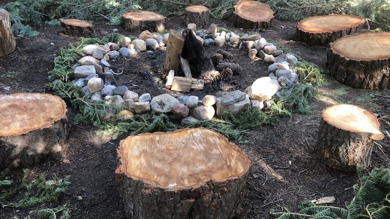 Photo of Others in McKinney Estates