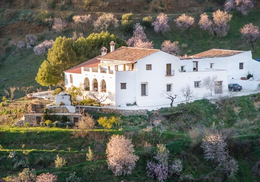 Photo of Outdoor in Malaga-Este