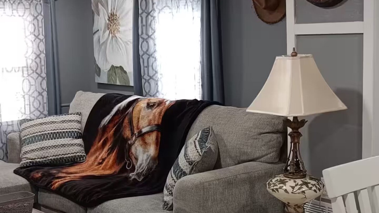 Photo of Livingroom in Dunkirk