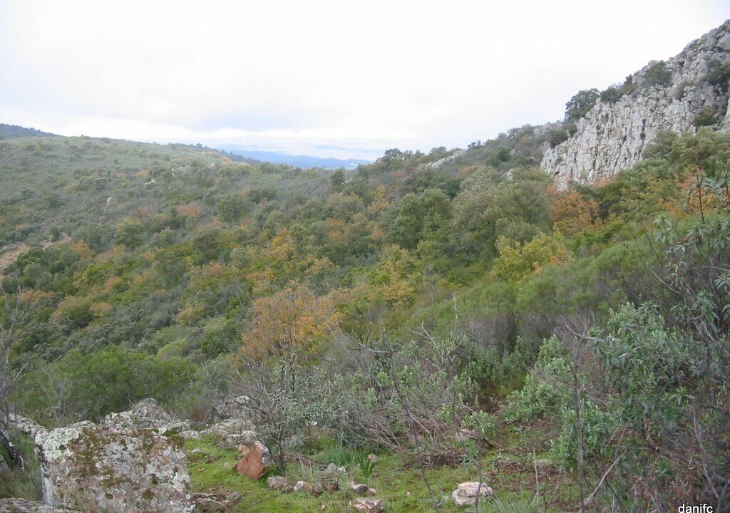 Photo of Others in Pozoblanco